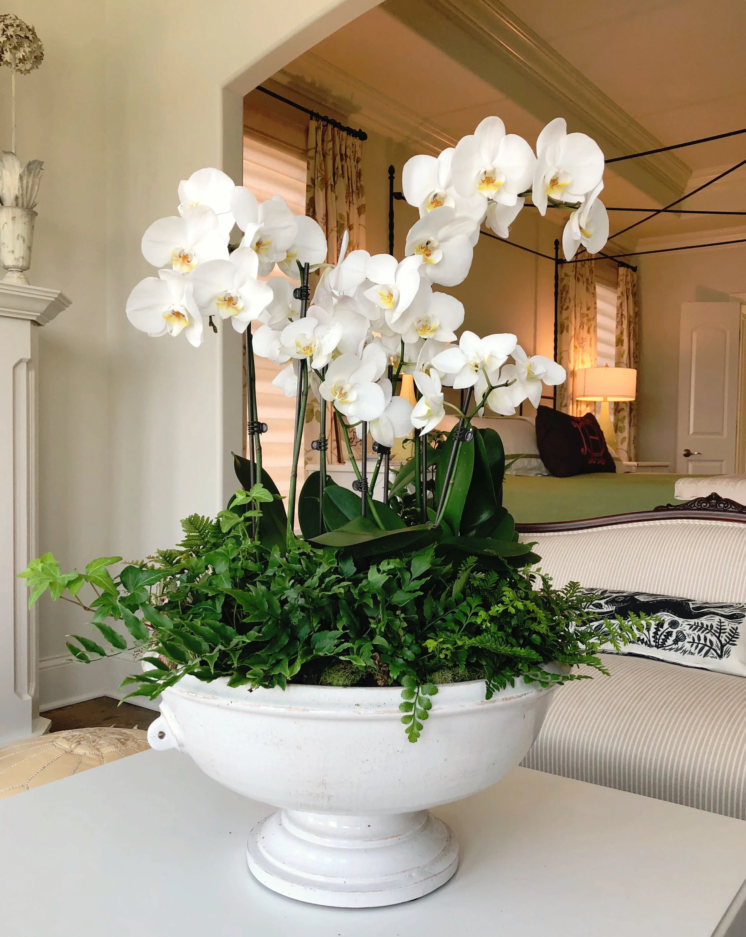 How to Easily Create a Living Centerpiece Anne Anderson Home